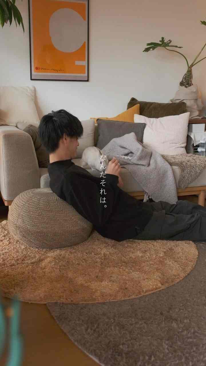 Mohon maaf atas suara pemiliknya yang menyeramkan 🦆

#poof
#hidup
#bagian dalam sofa
#Persewaan