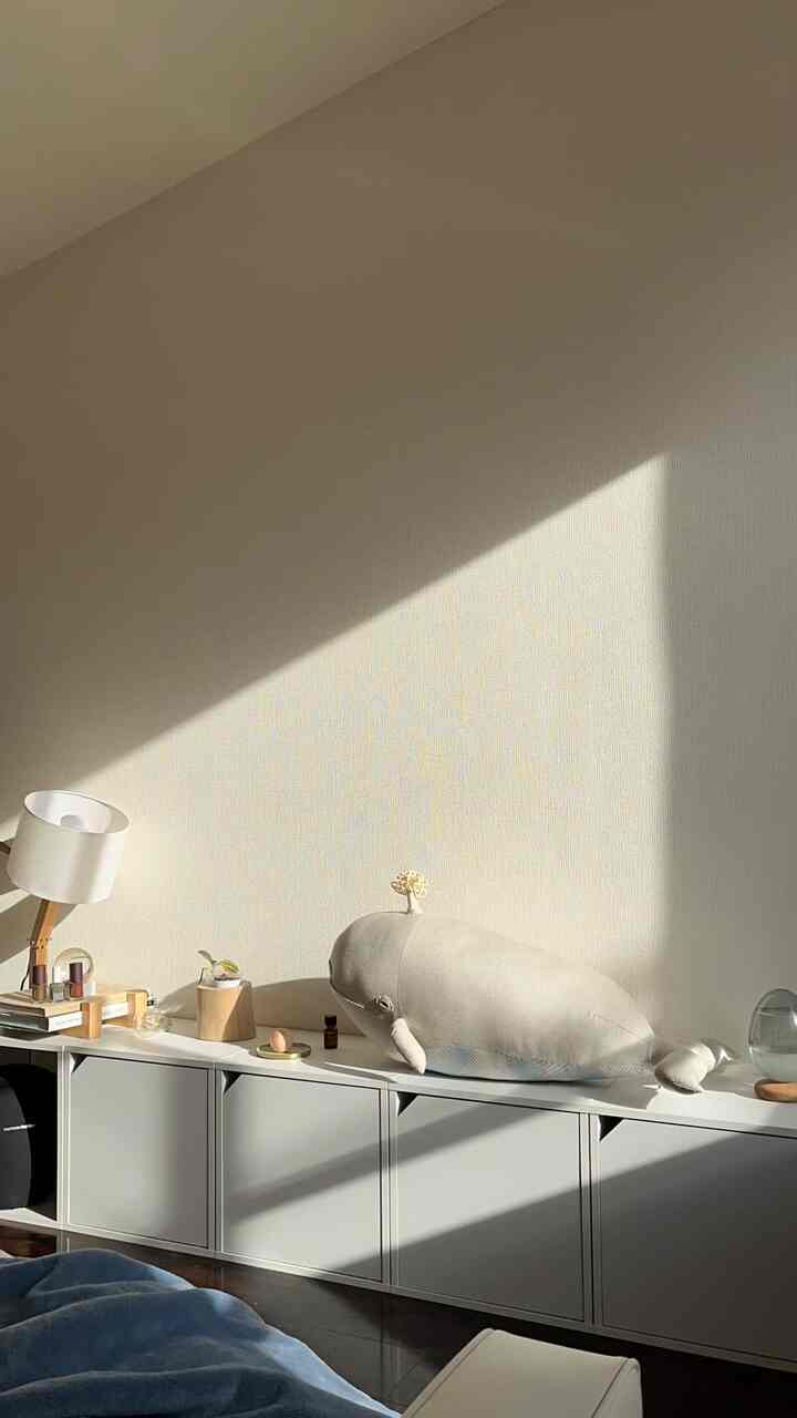 ベージュの壁と白い本棚が配置された6畳のワンルーム、クジラのクッションと温かみのある自然光が優しい雰囲気のインテリア