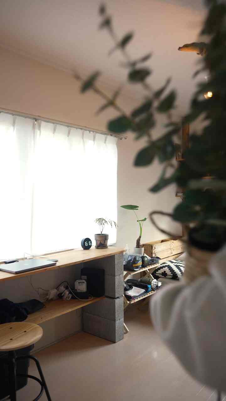 フェイクグリーン手入れもいらないし、なかなか便利で本物とフェイクどっちも持ってます！

#賃貸インテリア #インテリア #1r #1r賃貸
#ワンルームインテリア
#ワンルーム一人暮らし #オシャレ部屋 
#一人暮らし #1人暮らし #1人暮らし男子
#一人暮らし部屋