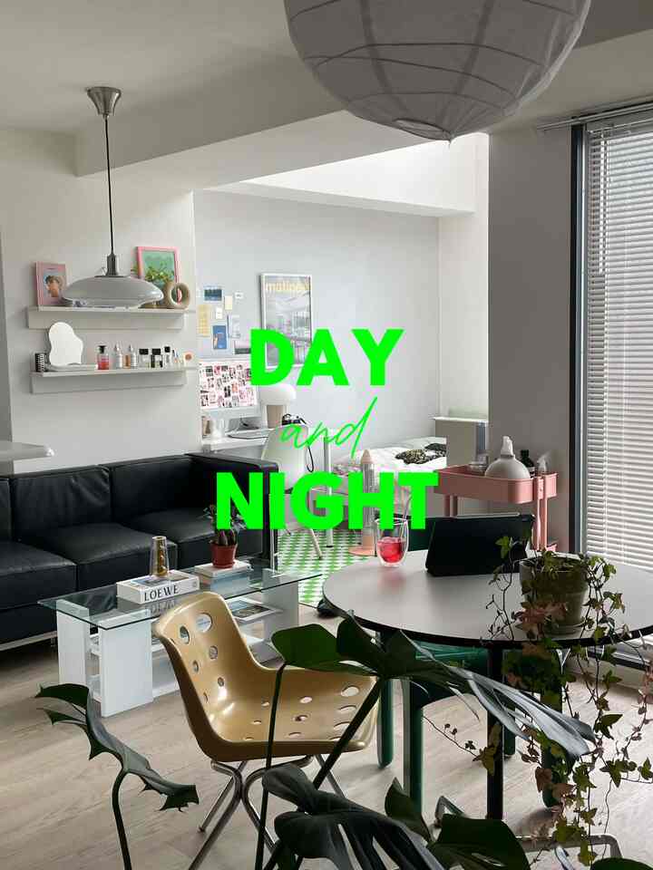 Natural-toned studio living room with white walls, black leather sofa, yellow dining chair, and greenery creating a cozy atmosphere