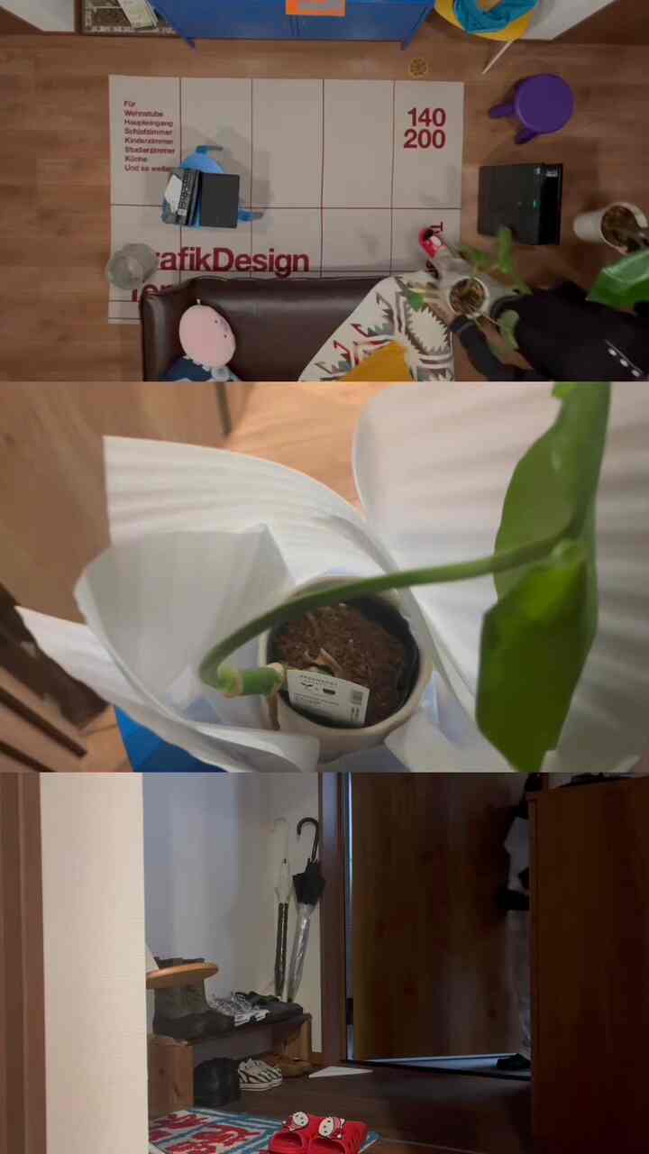 ブラウンの木目調と緑の植物が調和したリビングと玄関、居心地の良いおうちカフェの雰囲気あるインテリア