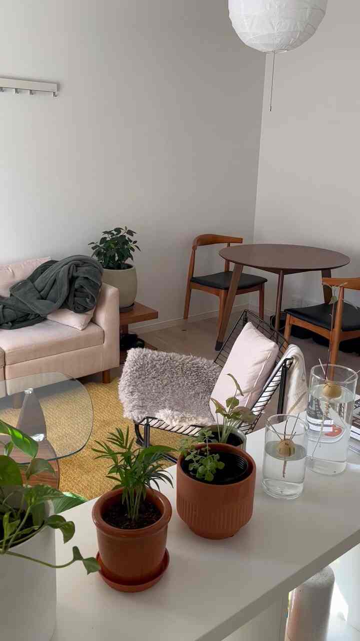 白い壁と黄色のラグが際立つ1LDKのリビング、ミッドセンチュリーモダンの家具と植物が配置された落ち着いた空間