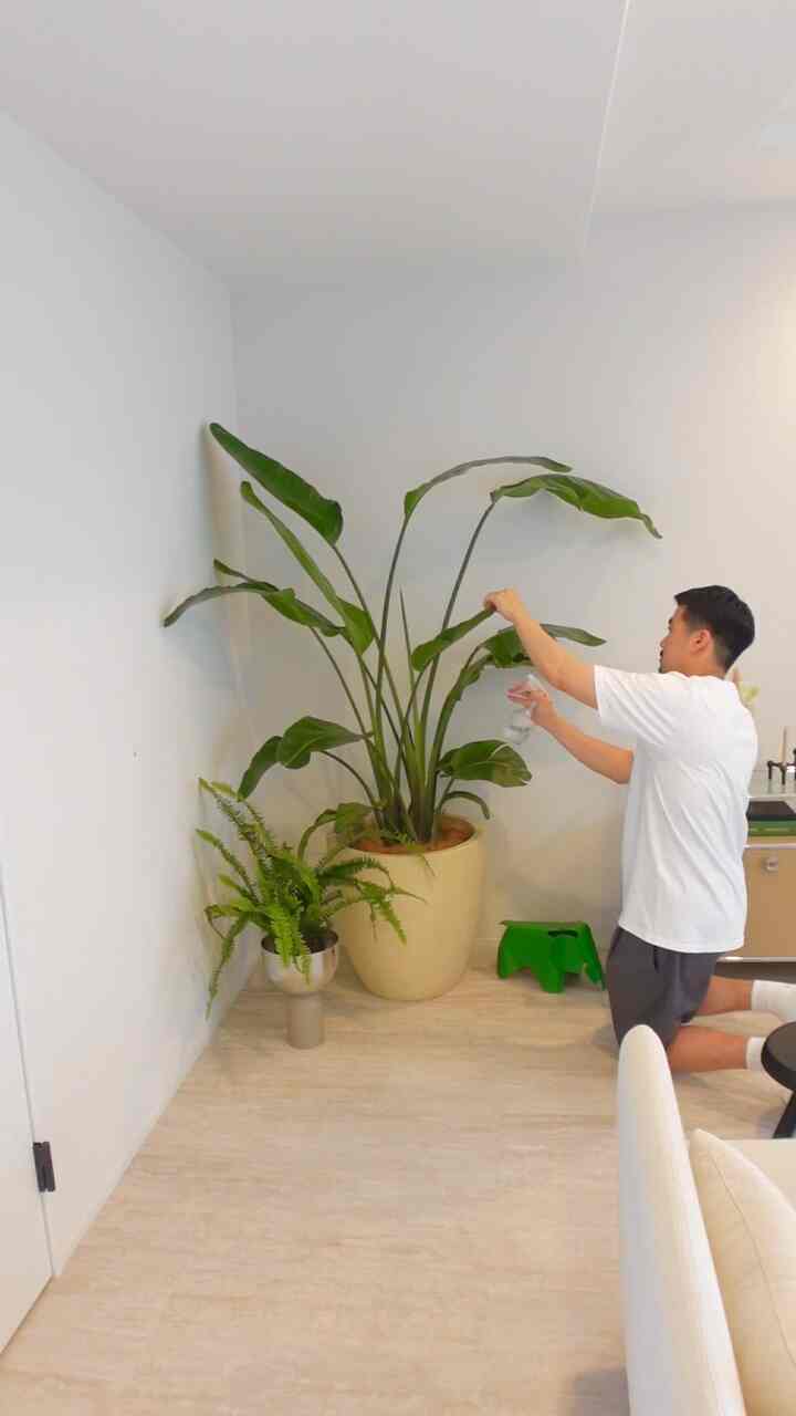 🪴🪴🪴

#interior #interiordesign #interiorstyling #livingroom #インテリア #インテリアデザイン 
#インテリアコーディネート #usm #usmhaller #usmmodularfurniture #usmハラー #cassina #charlotteperriand #カッシーナ #シャルロットペリアン #vitra #ヴィトラ #aytm