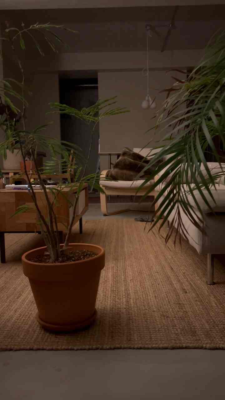 ナチュラルカラーのバルコニー近くのリビング、テラコッタ製の大きな鉢植えと植物、明るいソファが配置された雰囲気のある空間