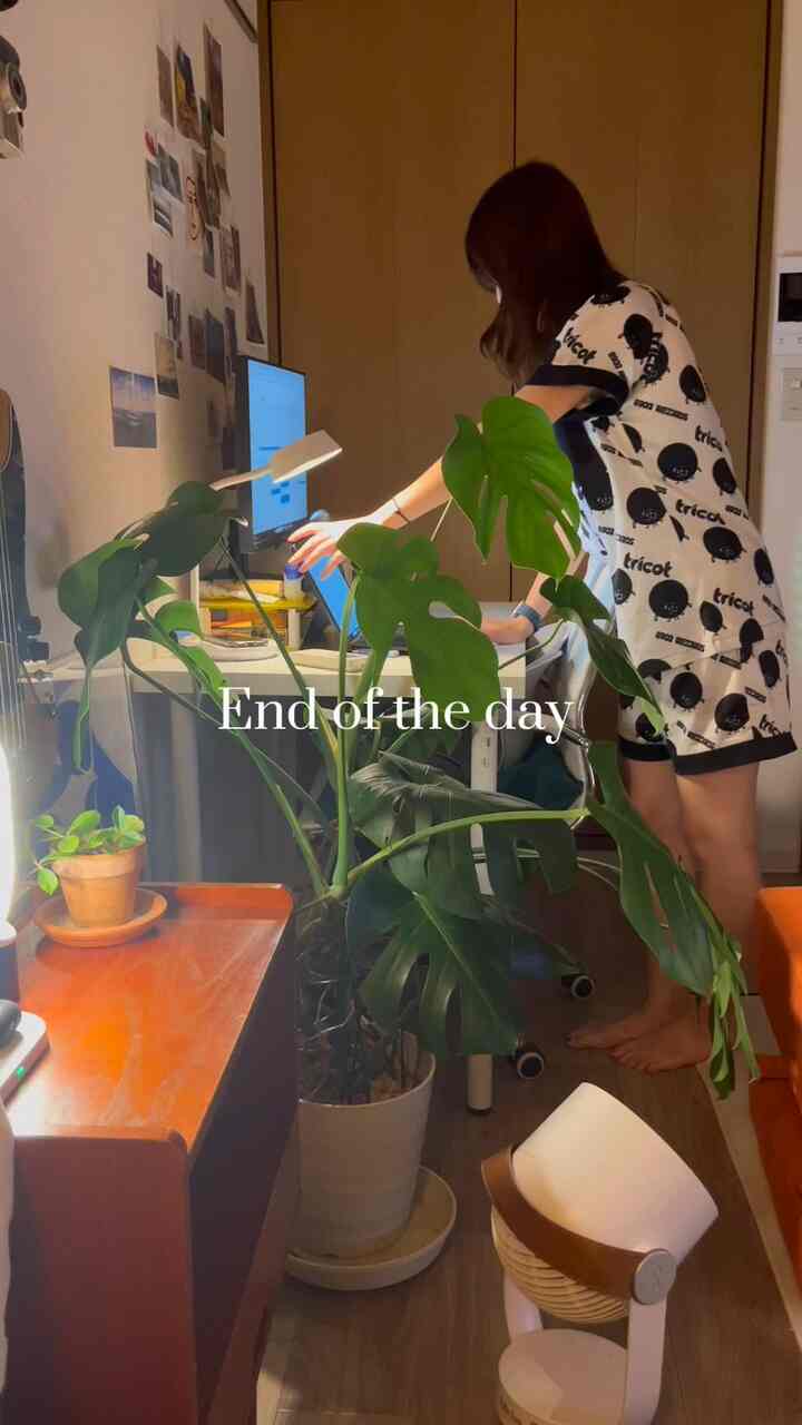 温かみのある木目調と緑の植物が配された8畳ワンルームのホームオフィス、1人がリモートワークする落ち着いた空間