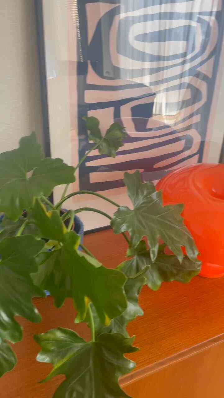 好きな物たくさん詰め込んで🧶✨

#カラフルなインテリア #3LDK #賃貸マンションインテリア