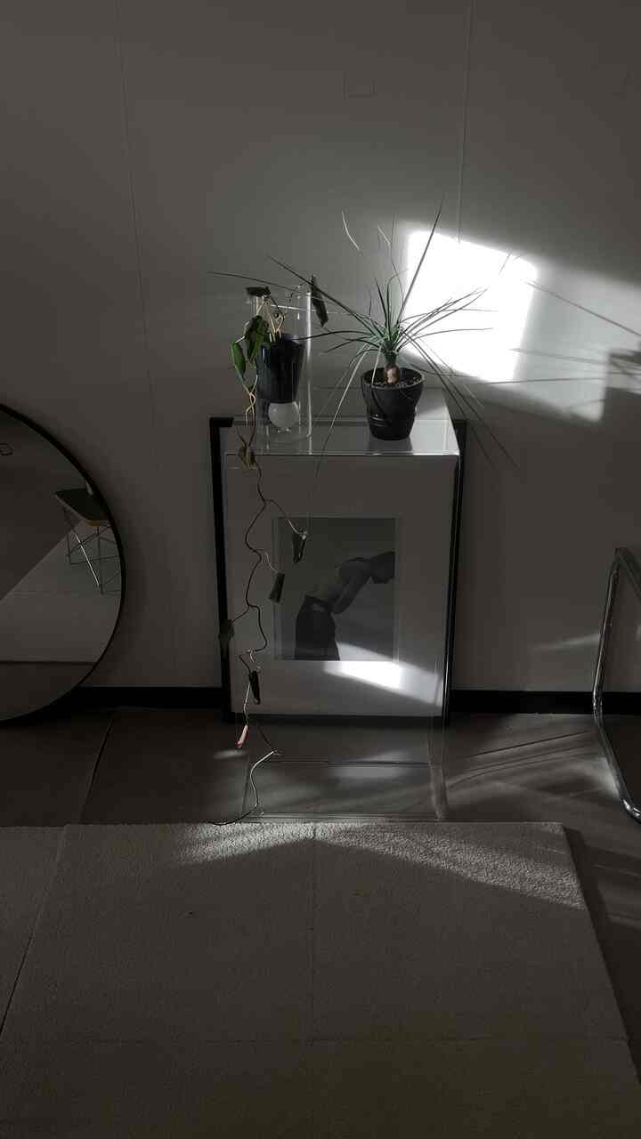 昼過ぎの日差しと影








#リビングルーム #日差し #影　#観葉植物のある暮らし　#観葉植物 #シンプルな暮らし #シンプルなインテリア #無機質　#無機質インテリア　#モノトーン　