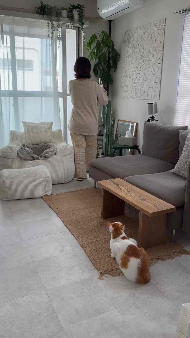 暖かいベージュとブラウンのトーンの1LDKリビング、ソファと木製テーブル、ペットの猫がいる居心地の良い空間