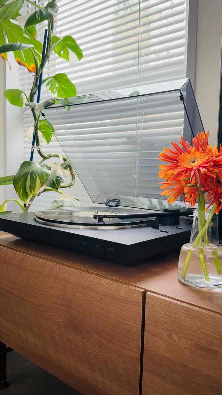 Since I bought a record player,

when I want to relax, I listen to records

☺️
The playback ends in a short time,

but it's a good opportunity to switch gears and say,

"When I'm done listening to the record, I'll make dinner!"

☺️

Collecting records is becoming a hobby these days...🫣

#Record player #レコード #休憩 #癒し #賃貸インテリア #賃貸暮らし #インテリア #インテリア家電 #インテリア植物 #花 #花瓶 #花瓶 Flower vase #テレビ台 #テレビボード #インテリアおすすめ #リラックス 
