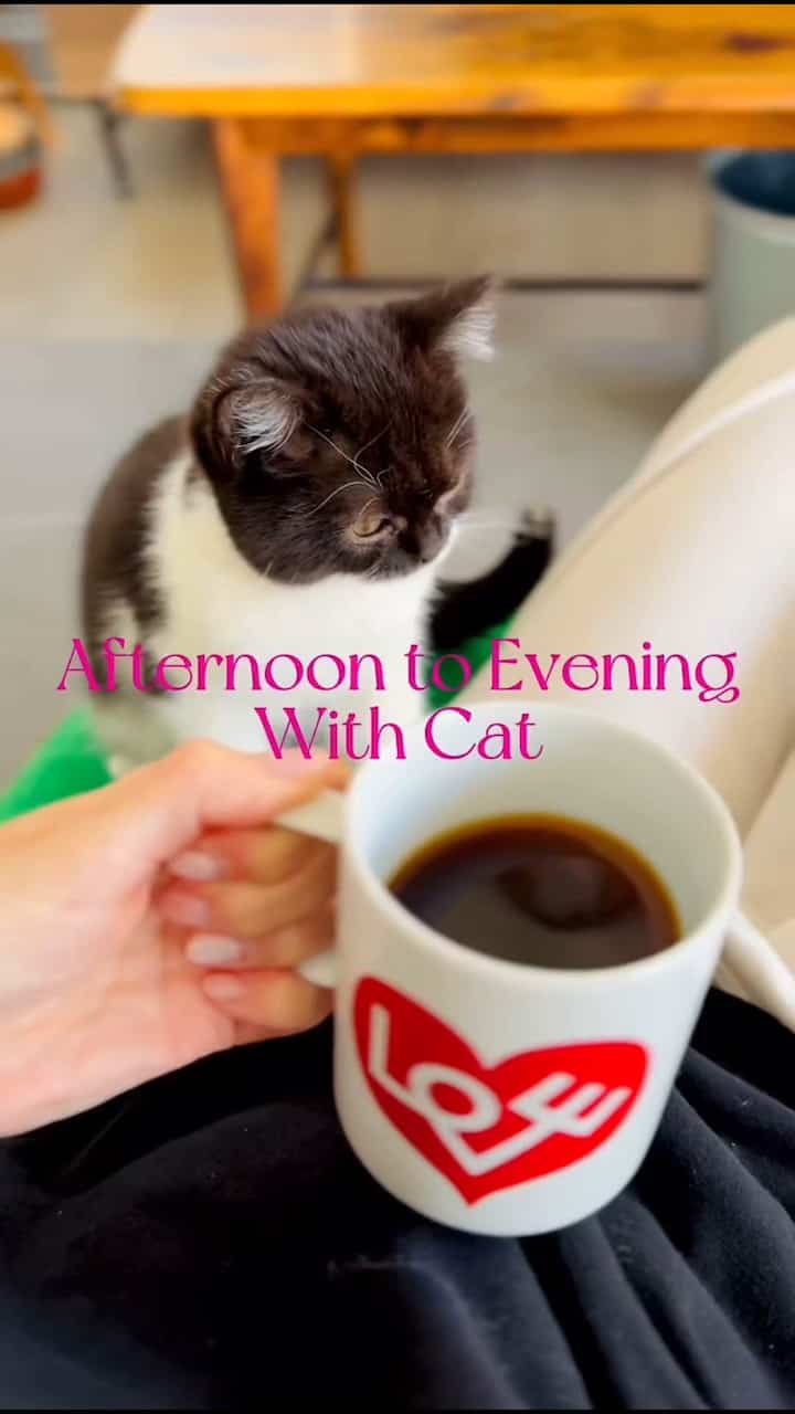 猫と過ごすまったりな時間🐈‍⬛💓☕️

マグカップはタグがなかったんだけど、
Herman Millerで購入した、
VitraのLove Heartコーヒーマグ☕️
アレキサンダー・ジラードのデザイン🫶🏻

コーヒー苦手な私も飲める、このTea bag式のコーヒーは#asakoiwayanagiというパティスリーのものです☕️

#コーヒー #コーヒーカップ #コーヒータイム #猫がいる暮らし #猫と家 #猫のいる生活 #賃貸インテリア #賃貸暮らし　#リラックス #ラック・シェルフ #ラック #ディスプレイラック #インテリア配色 #インテリア小物 #インテリア植物 #インテリア照明 