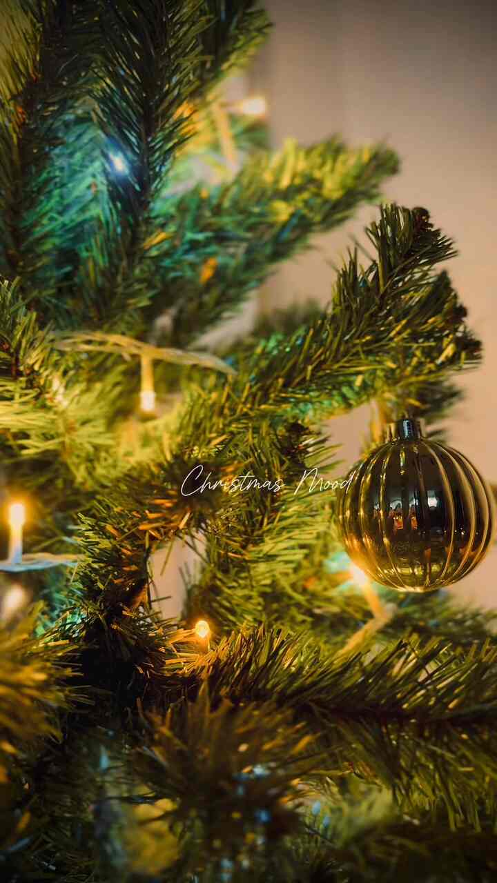 今年はシックなクリスマスにしたかったから、シンプルに🎄

#クリスマス #クリスマス小物 #クリスマス飾り #インテリア小物 #クリスマスツリー #クリスマスツリー・グッズ #くつろぎスペース #癒し空間 #リビングインテリア　#賃貸インテリア　#賃貸暮らし　#インテリア家具 #インテリア照明 #ディスプレイラック #
