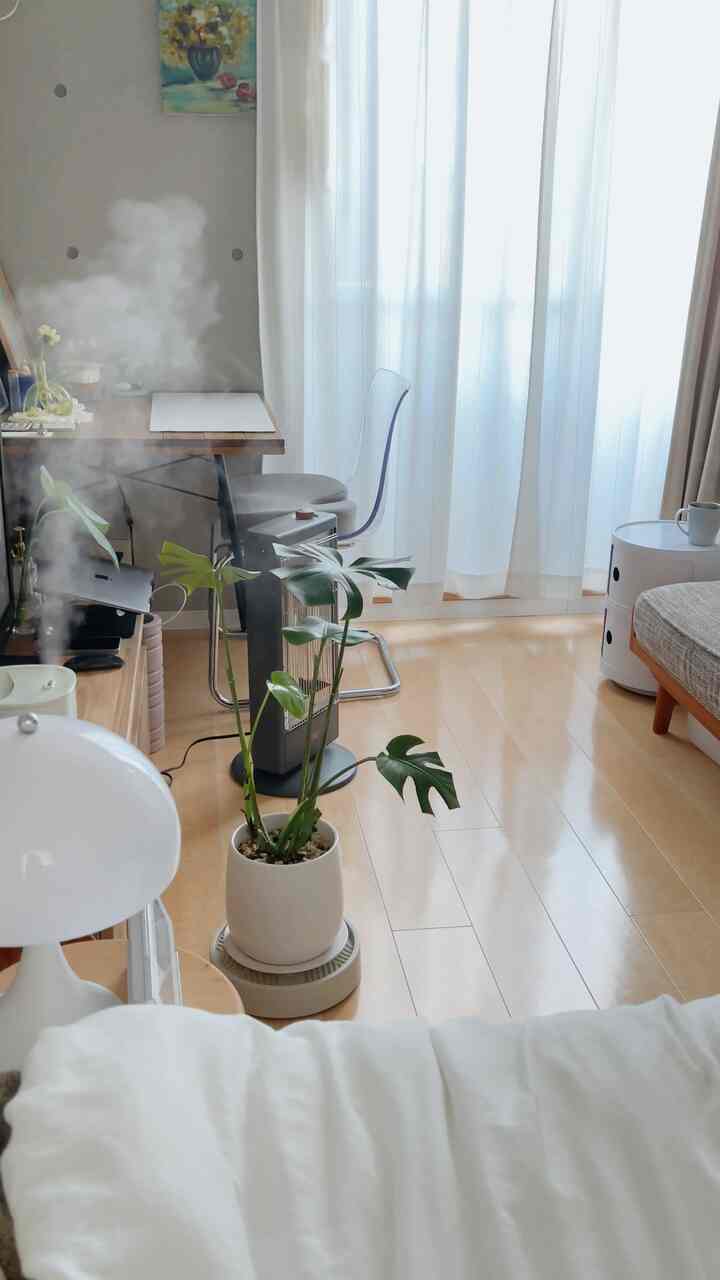 ベットからの眺めです😶‍🌫️

#ナチュラルインテリア #モダンナチュラル #一人暮らし部屋 #ホワイト家具 #ウッド系 #観葉植物 #モンステラ #グレーインテリア #リビングインテリア 