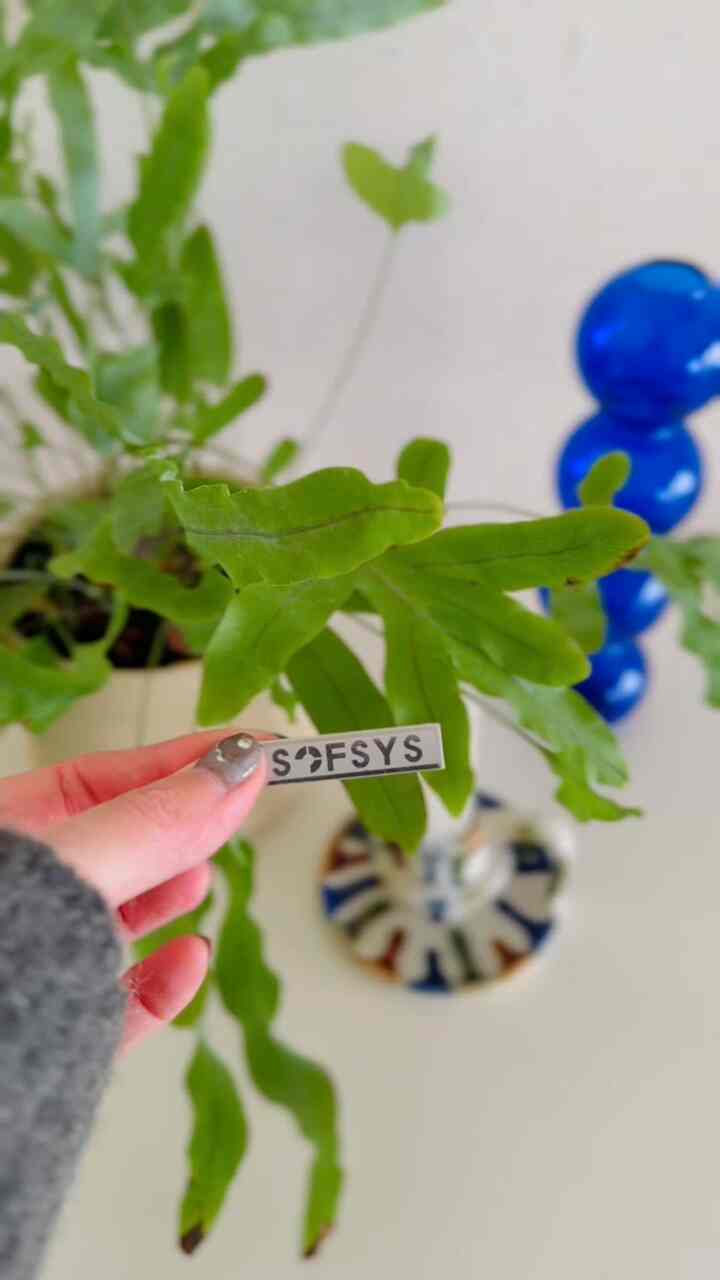 30__hausさんのインテリア実例写真