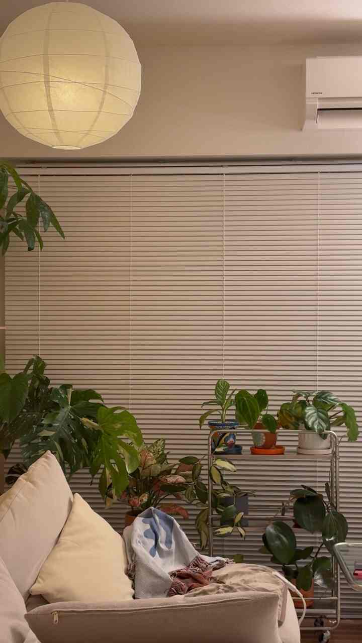 AC bekerja pada kapasitas penuh....

#Hidup sendiri #Hidup sendiri #Hidup sendiri #Sewa 1LDK #Sewainterior #Apartemen hidup #Catatan hidup #Barang interior #ohousesnap #your_room_is_good #roommy_roomtour #interior #cozyroom #apartmentinterior #myroom #interiordesign #ikea #mid Century #Interior Korea #Hidup bersama tanaman hijau