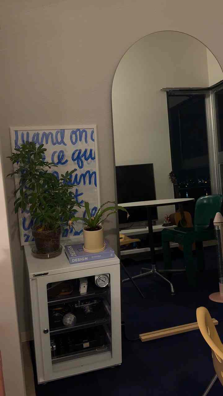 白い壁とネイビーのカーペットのワンルーム、アーチ型の大きな鏡と机、植物が配置された雰囲気のあるインテリア