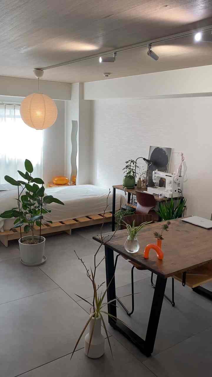 Bright white and brown natural modern studio apartment featuring bed, dining table, plants with a cozy atmosphere