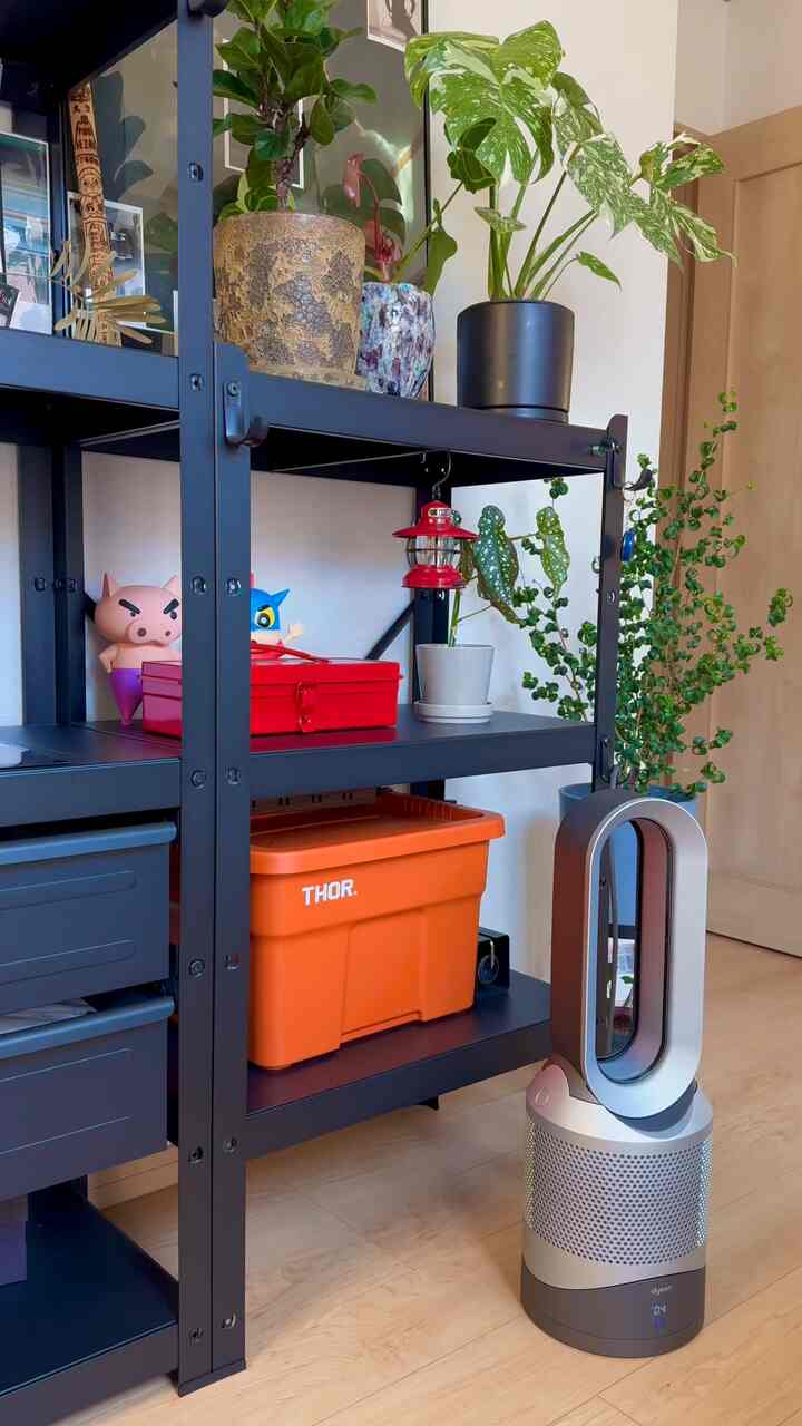 今日は天気がいいから
2階も花粉対策中🤧

#ダイソン #Dyson #空気清浄機  #在宅勤務 #植物棚  #toolbox #ツールボックス #livewithplants