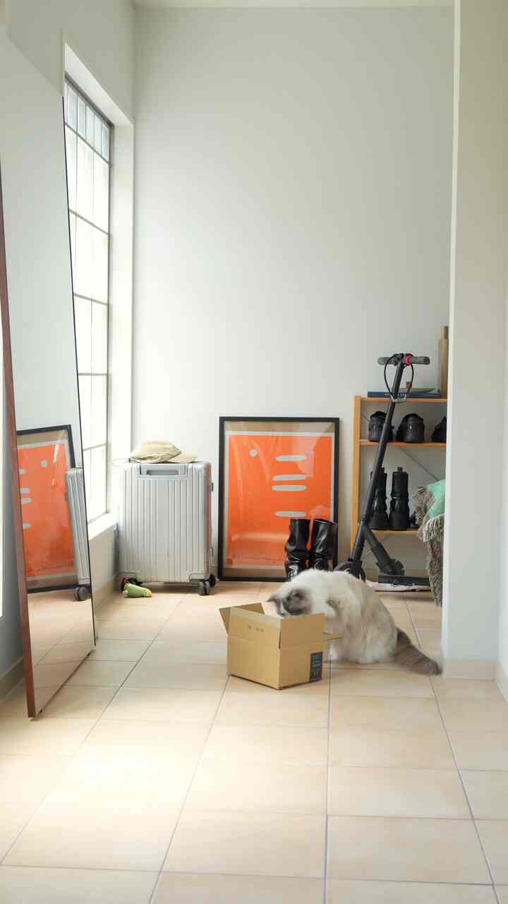 ダンボール大好きね😮‍💨📦
#玄関 #玄関小物・傘 #ポスター #イサム・ノグチ 