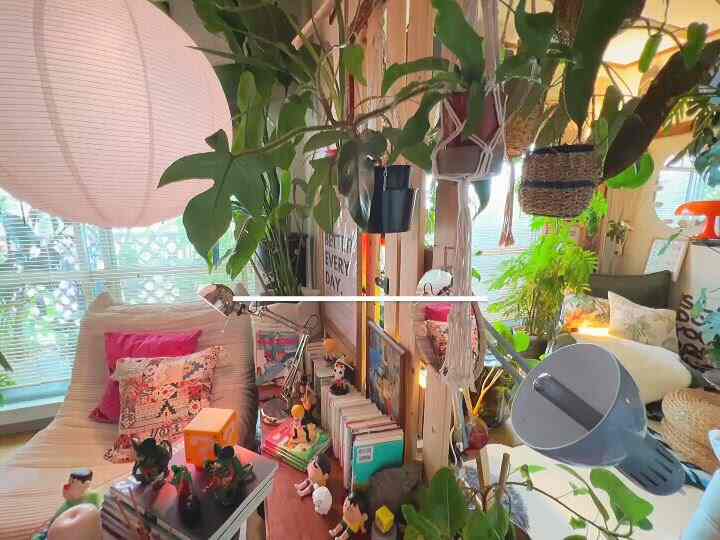 カラフル+植物+個性💛🩵🩷

#カラフルなインテリア #植物のある生活 
#築古物件 #DIY #リビング #ダイニングインテリア 