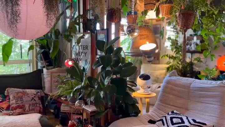 Living room with abundant green plants, colorful sofas, and warm cozy atmosphere
