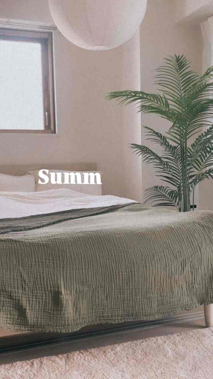 White and green toned bedroom featuring a bed with blanket centrally placed and artificial plant on the right, simple atmosphere