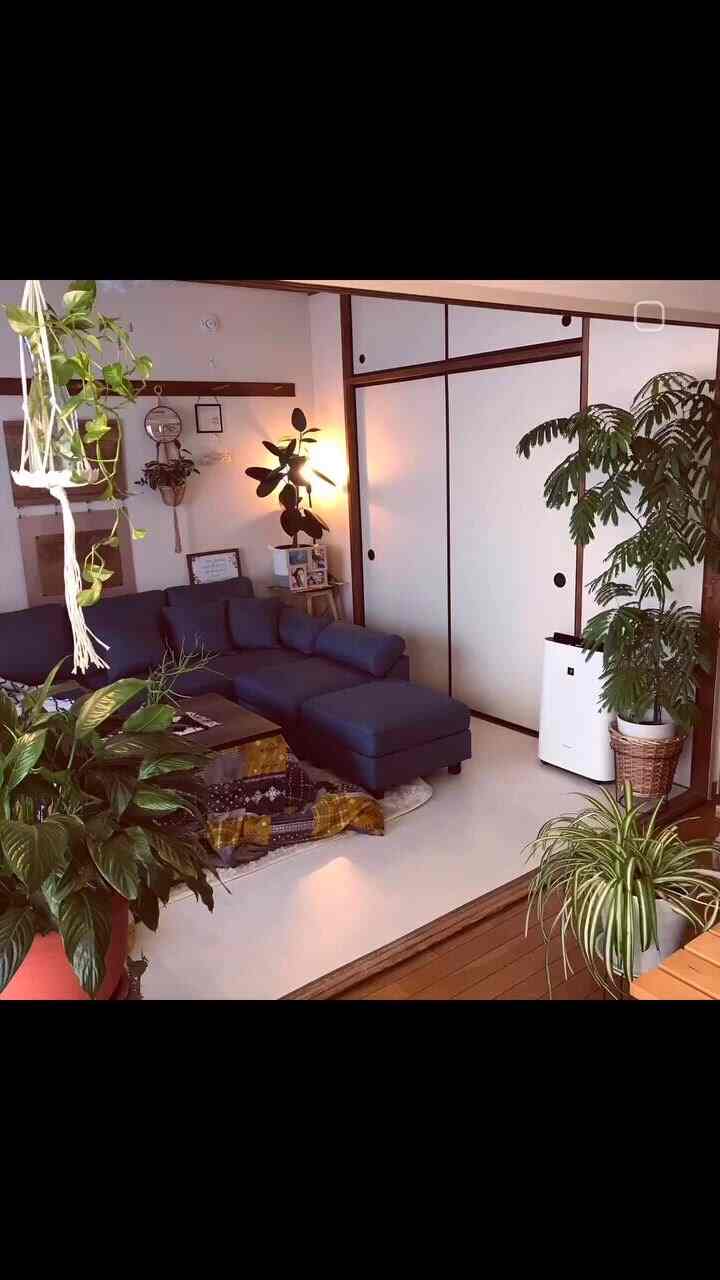 ナチュラルな木目調と白を基調としたリビング、青のコーナーソファと多彩な観葉植物が配置された雰囲気のある空間