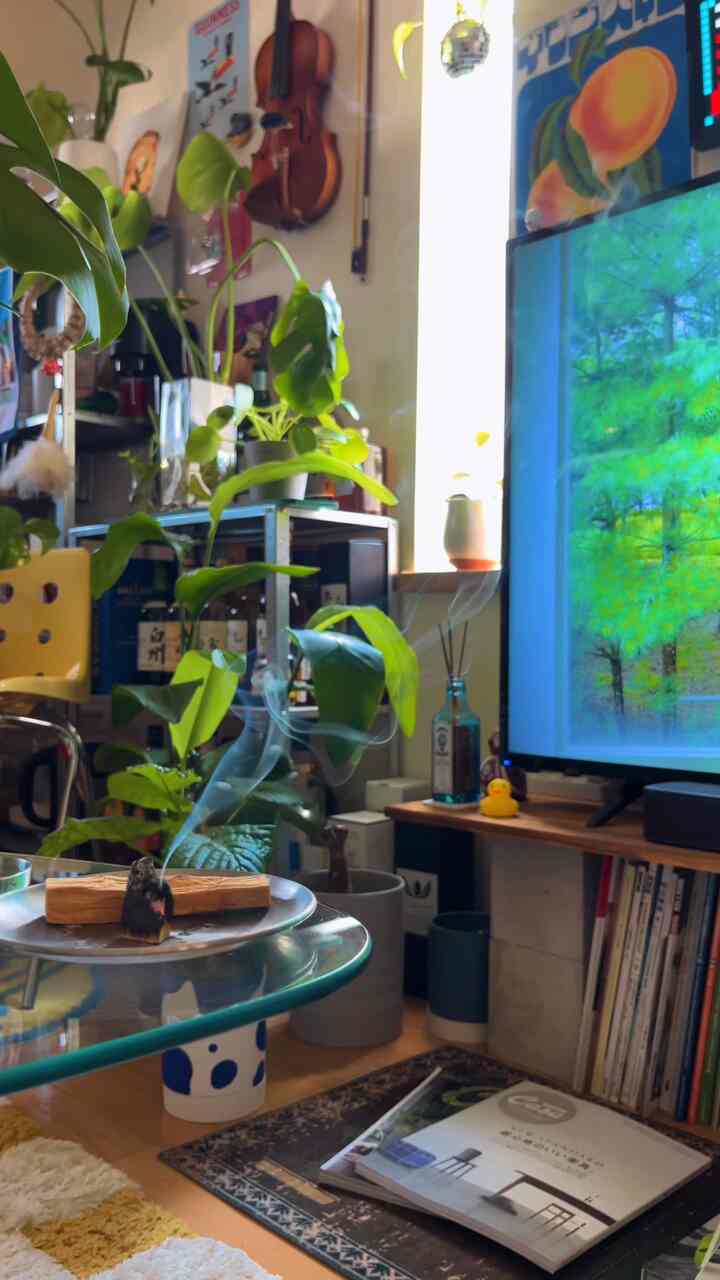 Cara menghabiskan musim panas
#Palo Santo #リビング小物 #植物 #観葉植物