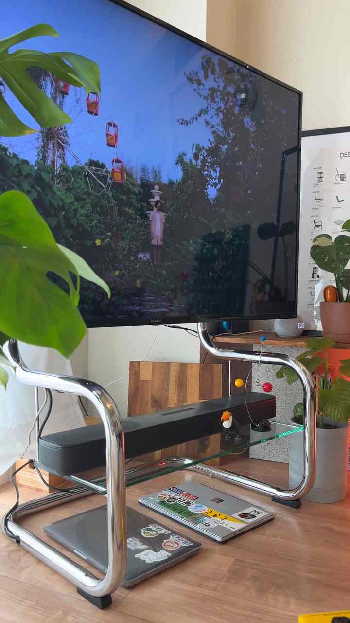 ナチュラルな色調のリビングルームに設置されたシルバーパイプ製のテレビ台、木製の床の上にあり、テレビ画面と周囲の植物が配置されている