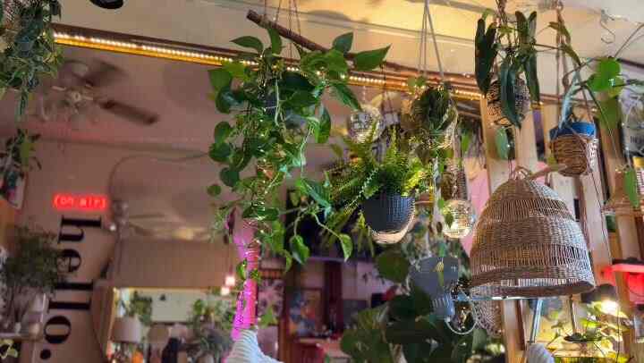 緑の植物とラタンのペンダントライトが配置された、自然な雰囲気のリビング空間