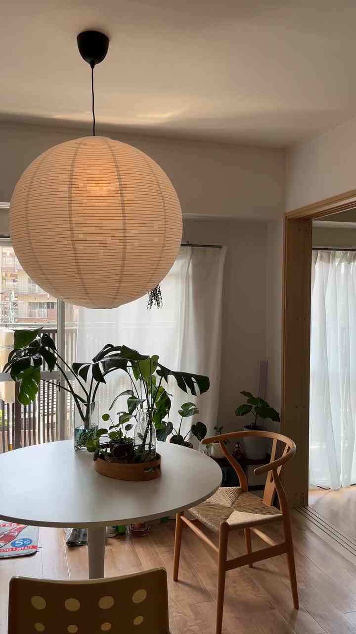 白と木目調の調和があるダイニング、丸いダイニングテーブルとウィッシュボーンチェア、モンステラ植物が配置されたモダンなインテリア