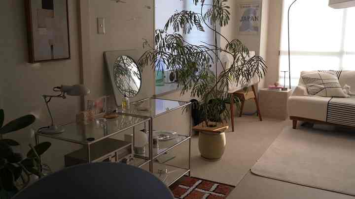 Light brown and natural toned living room featuring a white sofa and large foliage plant creating a warm and cozy atmosphere