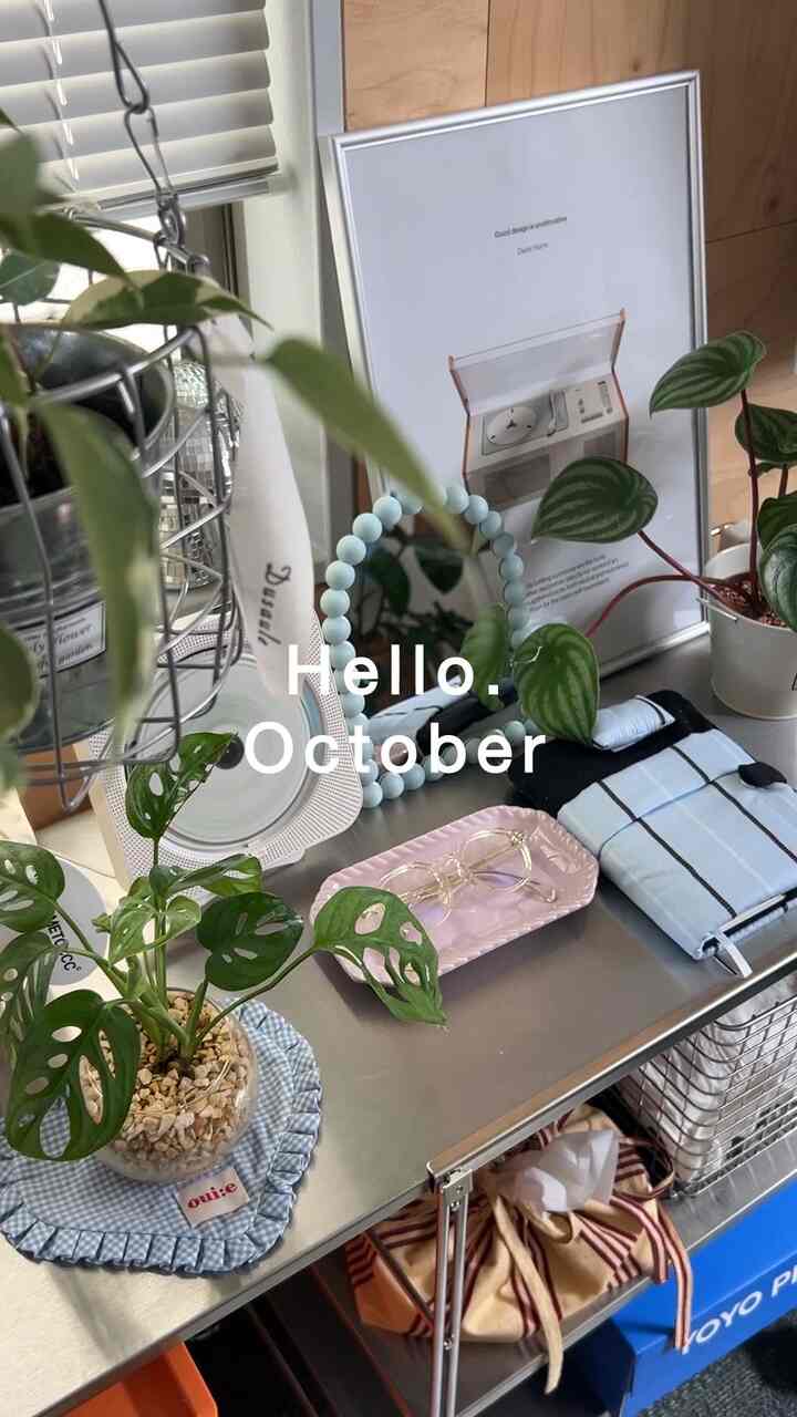 A simple Korean interior space with steel tones and white elements, featuring plants and wall art on a clean multi-purpose storage unit