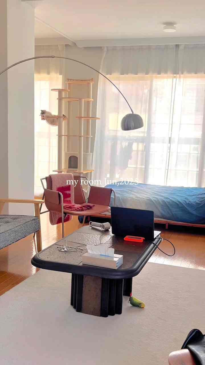 ナチュラルトーンのシンプルなワンルーム、ソファとアームチェア、ベッドカバー、キャットタワーが配置された落ち着いた一人暮らしの空間