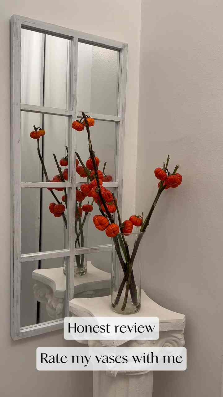 Honest review series ✨ Rate my vases with me 👀

#honestreview #realreview #vase 