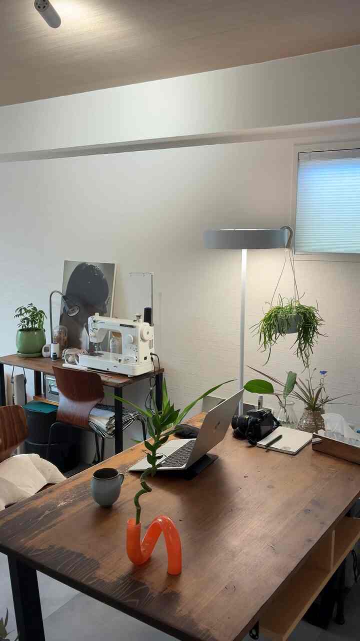 白い壁とナチュラルな木目調が調和したワンルームのホームオフィス、植物と照明が配置された雰囲気のある作業空間