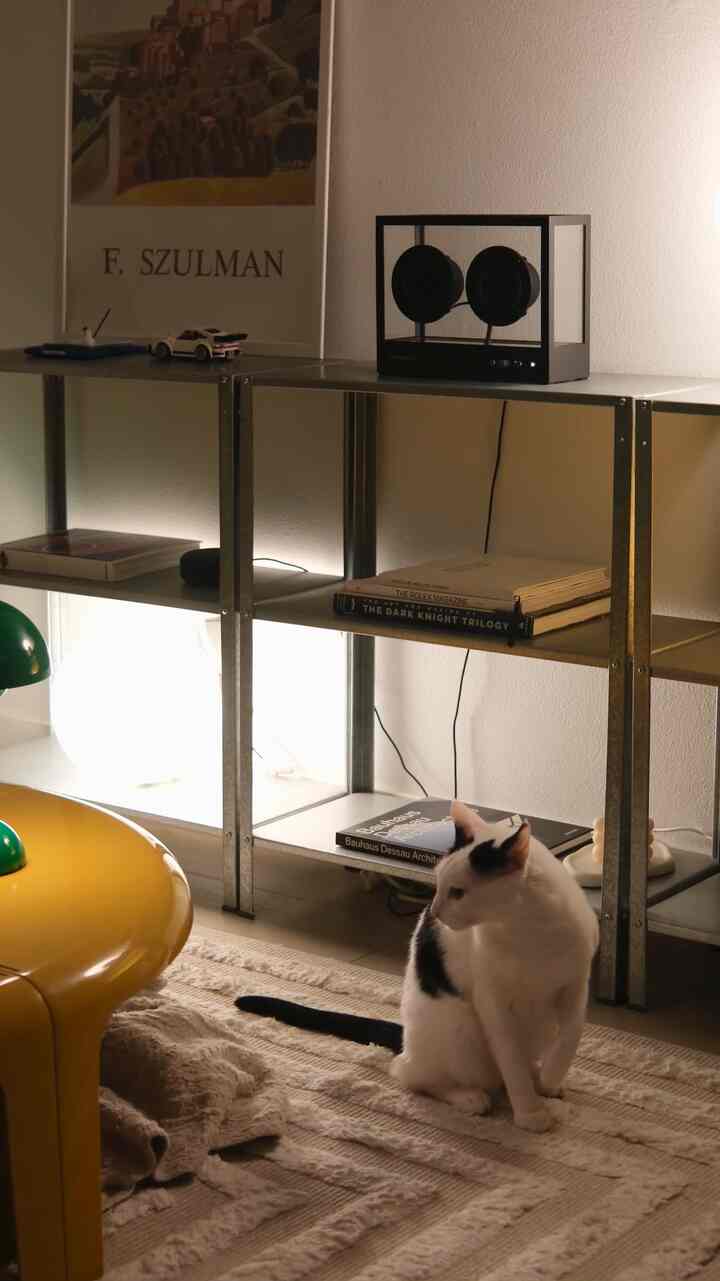 Natural toned living room with white walls, metal shelving, yellow coffee table, and a cat creating cozy atmosphere