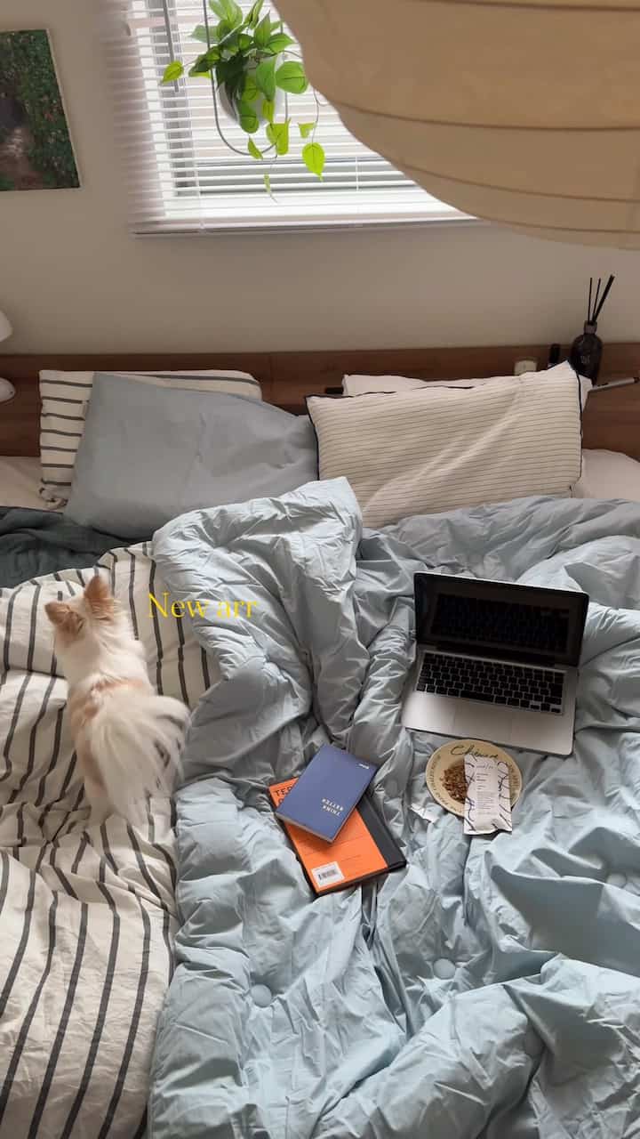 ホワイトとナチュラルカラーの寝室、寝具と犬、ノートパソコンが配置された雰囲気のある空間