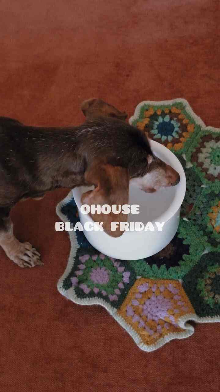 My favorite recent fabric purchase!

#ohouseshopping
#rug
#pillowcase
#bedroom
#pet