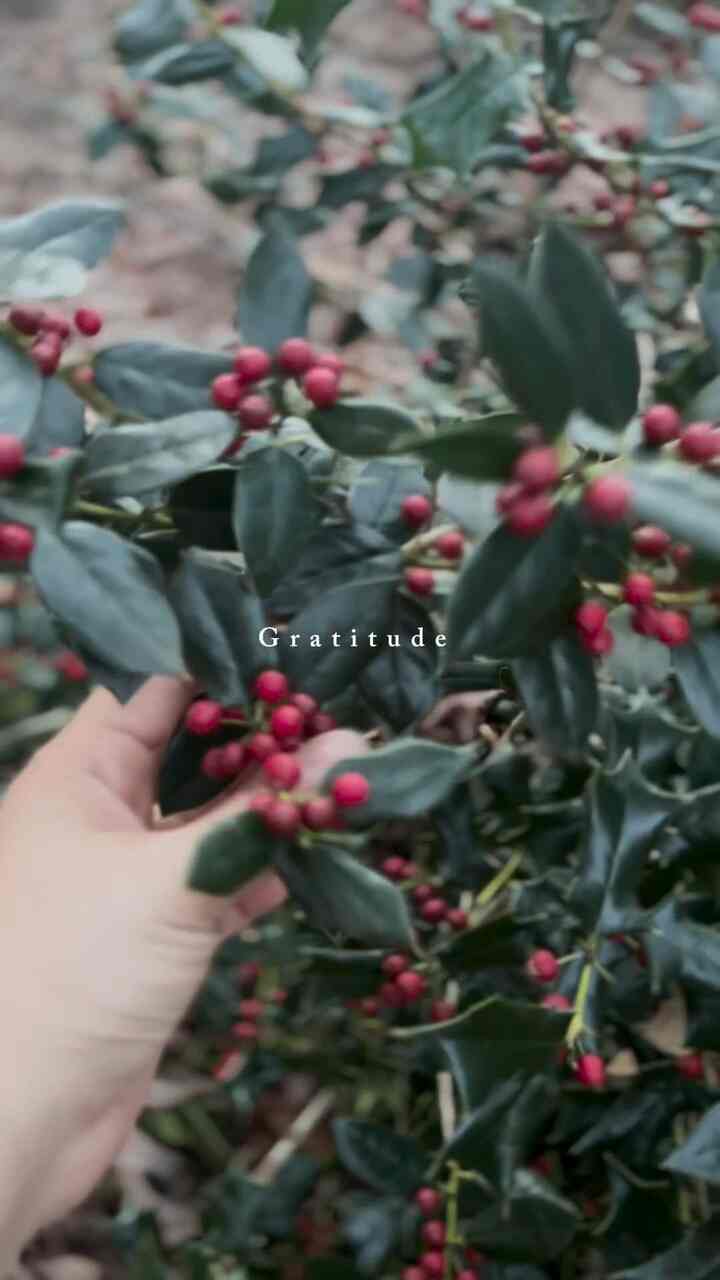 Decorating the Thanksgiving table with gratitude💜

#holidayhosting #gatherandglow #friendsgiving #thanksgivingdecor #cozyhome #autumndecor #farmhouse #cottage #tablescape #thanksgivingtable #thanksgivingtablescape