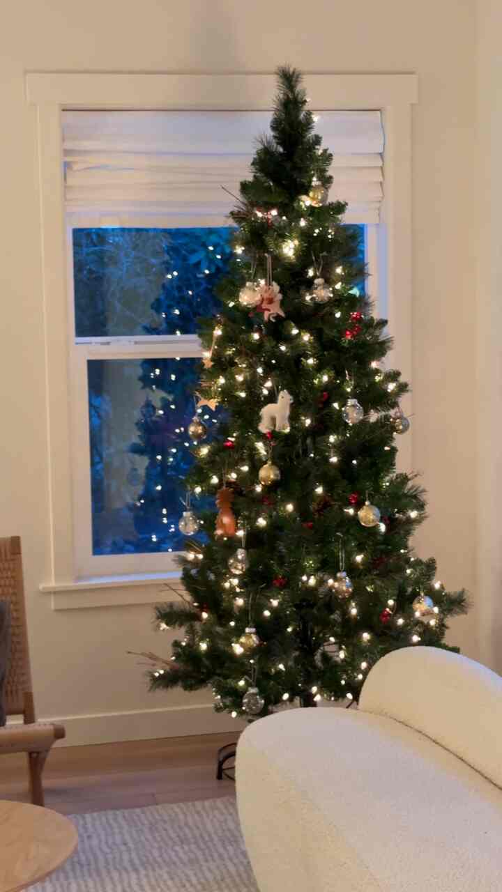 Living room with white walls and sofa featuring a decorated Christmas tree illuminated with warm string lights