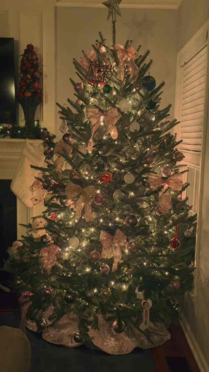 Romanticizing life is actually essential.

It's the season where you can't help but add romance 🎄🎀🫧🏠

#🎄#DailyLifeInUSA #미국생활 #삼형제맘 #크리스마스데코 #홈데코 #홈스타일링 #diyhome #christmasdecor #christmasdecorations #holidayglow #ohouseglow @ohousetoday