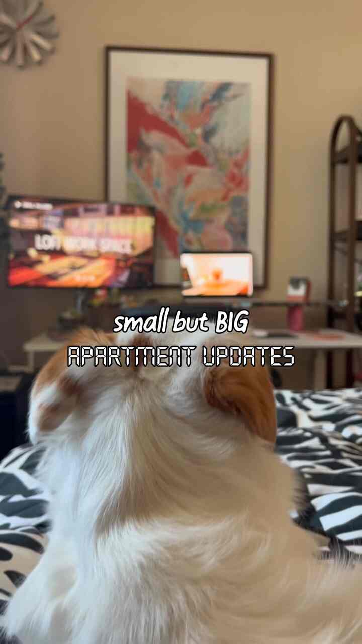 Warm beige toned small living room featuring a dog and a desk, creating a cozy home office atmosphere