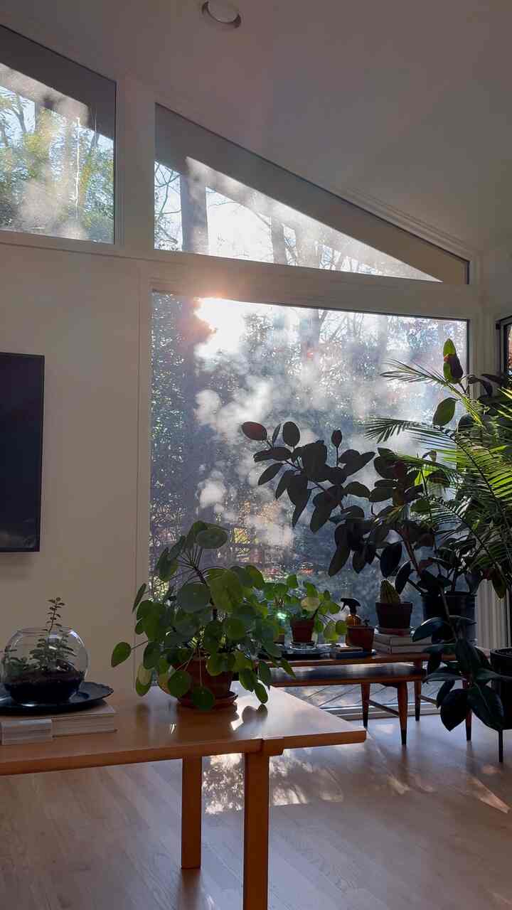 New Year day’s morning ✨ #bedroomdecor #bedroom #plants #planterior 