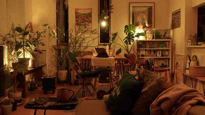 暖かいベージュとナチュラルカラーの1LDKリビング、ダイニングテーブルとソファ、植物、間接照明が配置された雰囲気のあるインテリア。