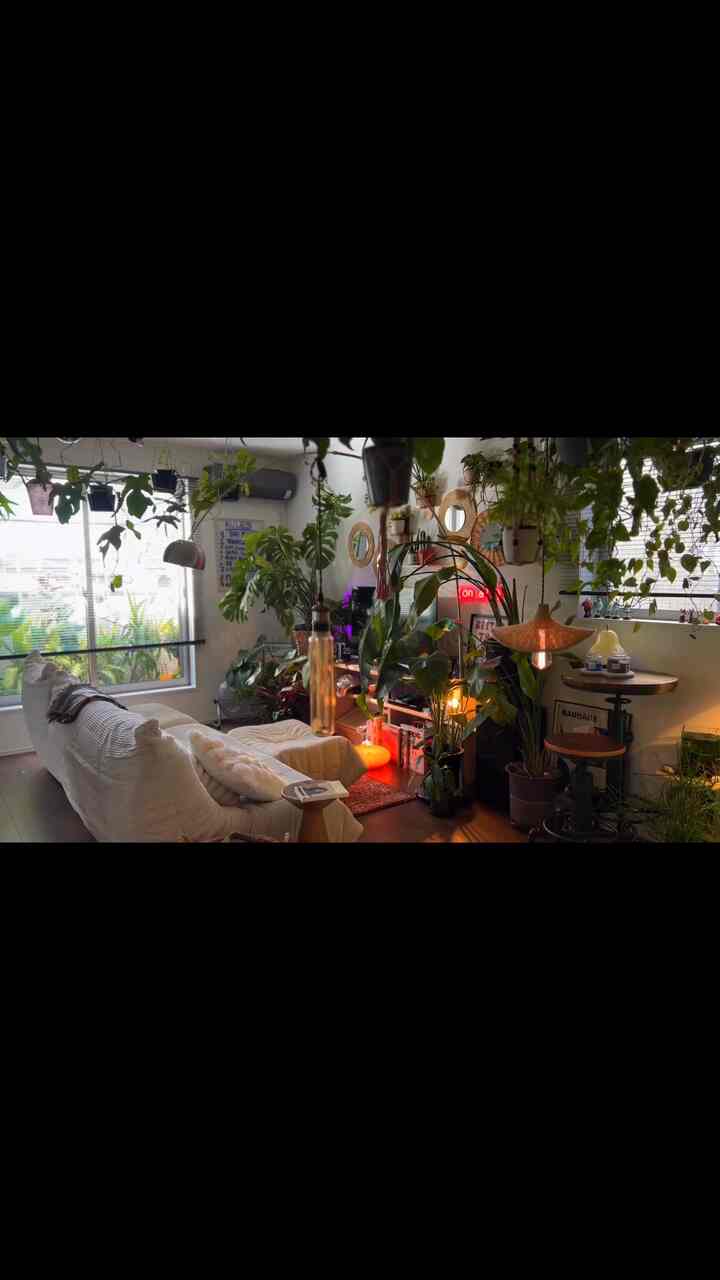 ミッドセンチュリーモダン×ナチュラルボホー植物でいっぱいなリビング
#ミッドセンチュリーモダン　#ナチュラルインテリア
#ボホーインテリア　#ハンギンググリーン