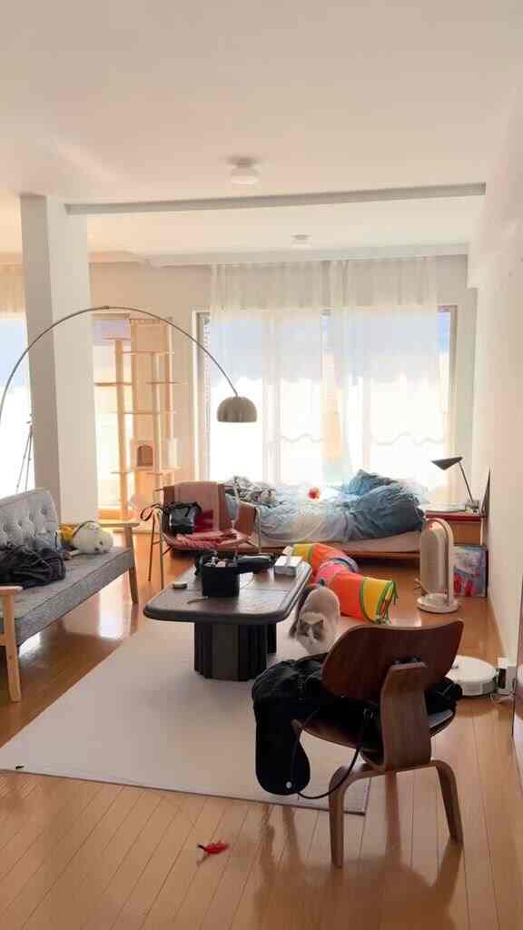 白い壁と木目調の床が調和したワンルームリビング、猫とキャットタワーが散らかった空間に配置されている