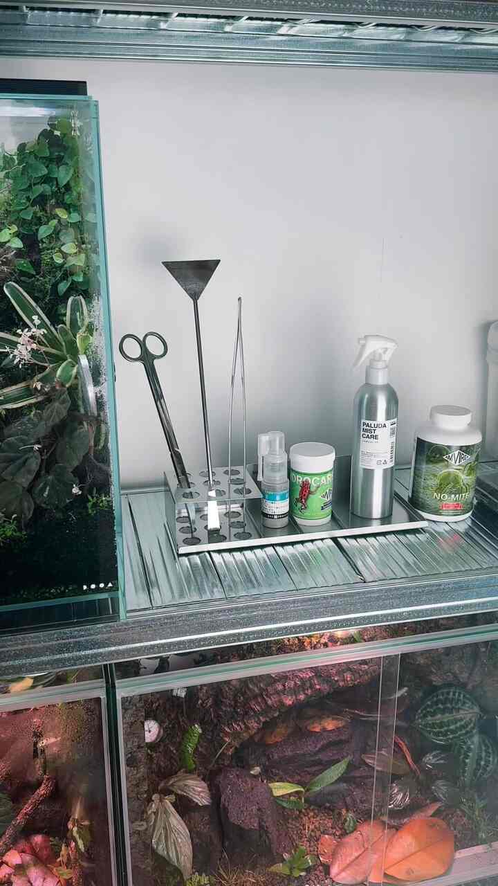Natural space featuring terrariums with succulents and a storage organizer on a desk against a white wall background