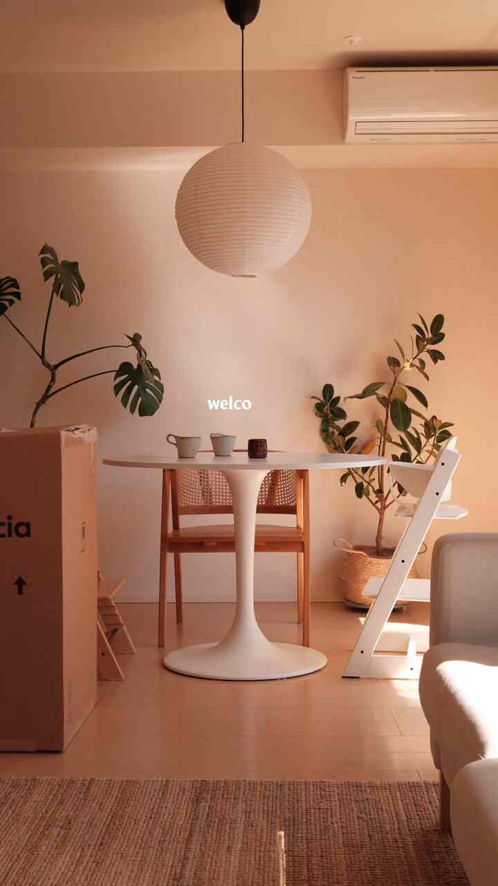 Welcoming a chair I’ll grow old with ✨🪑

#j39 

@fredericiafurniture 

ずっと何年も欲しかった椅子。
ボーエ・モーエンセンの j39 “People’s Chair”って呼ばれるほど特別な人じゃなくて、みんなのための椅子っていう考え方が好き。デンマークに留学してた友だちに見せてもらった写真でも、レストランやカフェや図書館でたくさん使われてた🪑

お婆ちゃんになるまで、たくさん使いたい！


#賃貸インテリア #apartmentherapy 
