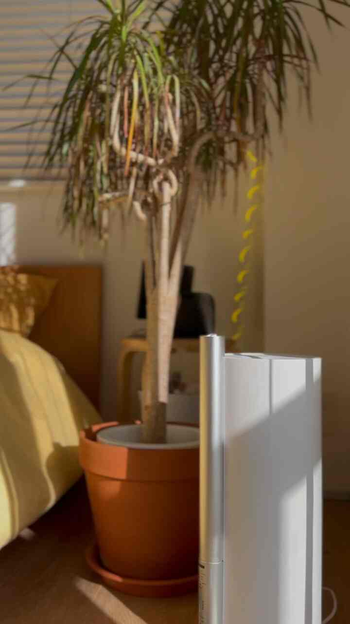 加湿器からサーキュレーターへと変わる季節ですね。今年も暑い暑い🫠
涼しくなるようなインテリア追加したいです🍉
#ベッドルーム
#ベッドルームインテリア
#寝室
#寝室インテリア
