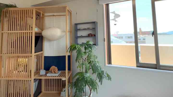 Natural tone balcony space with white walls and wooden open wardrobe, featuring a plant and pendant light creating cozy atmosphere